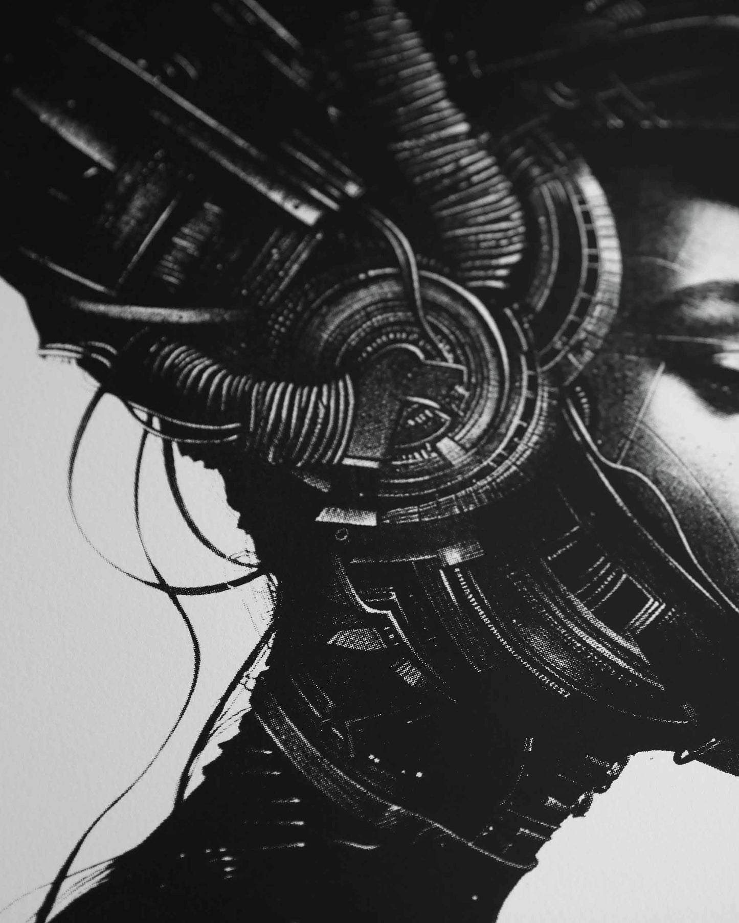 PAINTING "READY TO FLY"