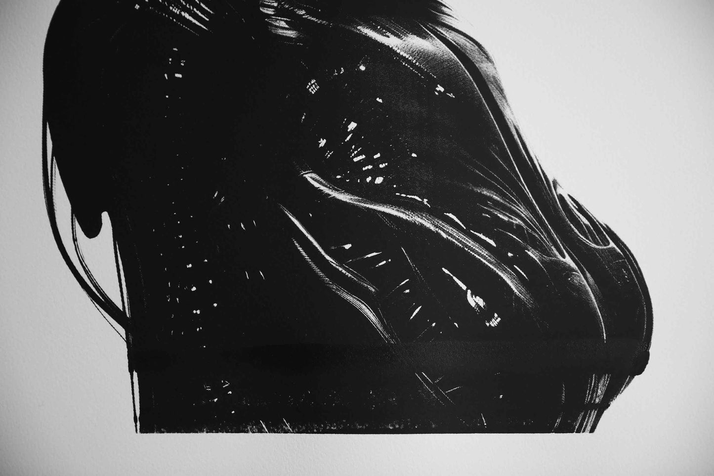 PAINTING "READY TO FLY"