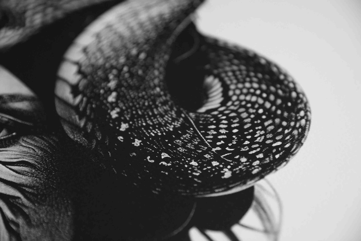 PAINTING "EVERY WOMAN SHOULD HAVE A SNAKE"